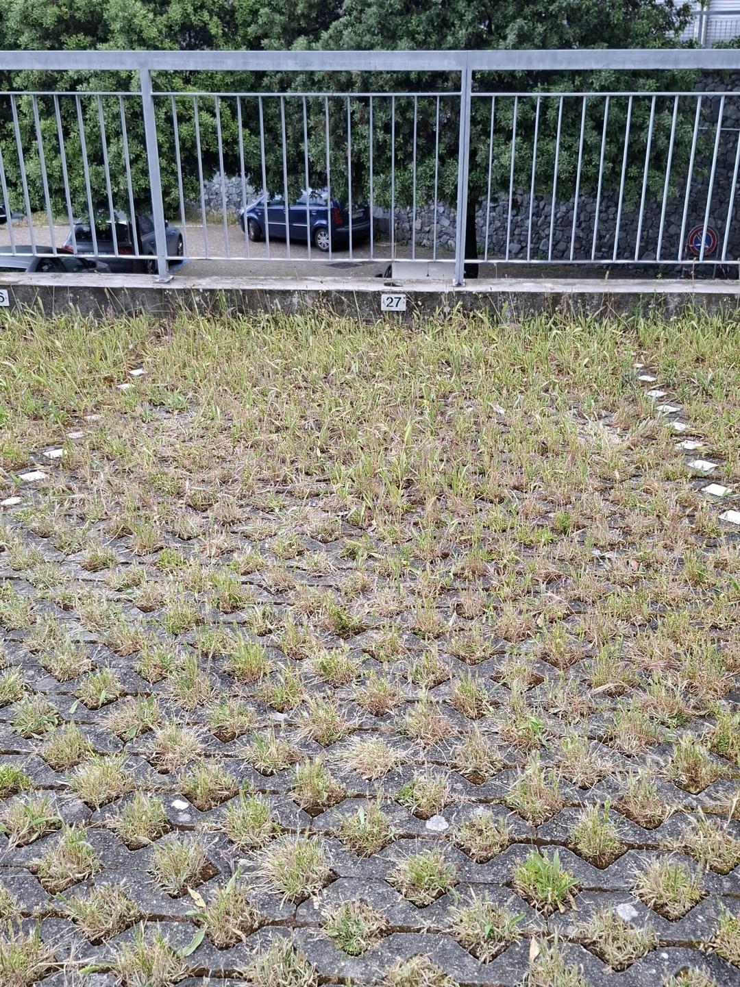 Copertina per Via Jacopo Ruffini 25