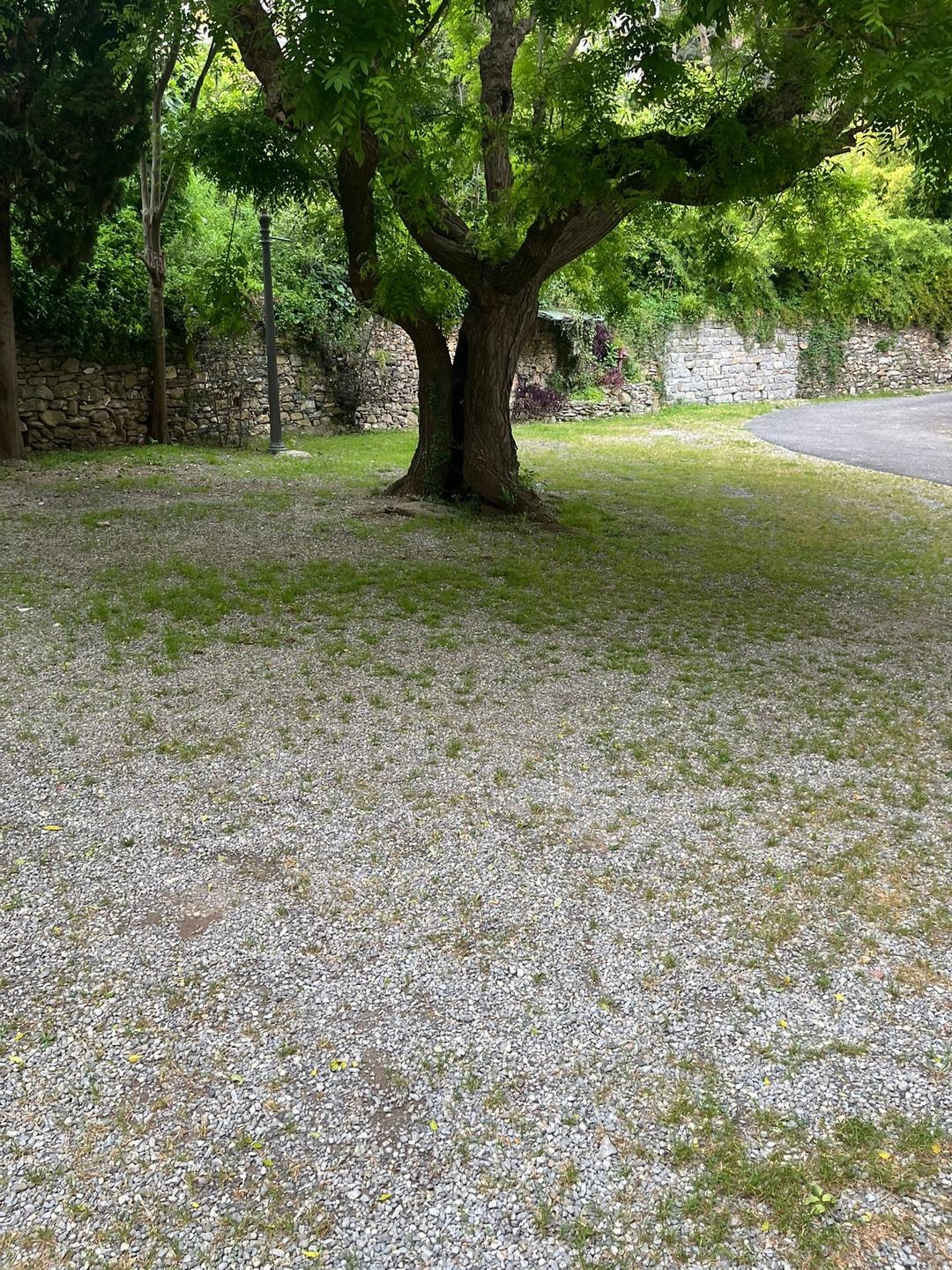 Copertina per Via Michelangelo 14