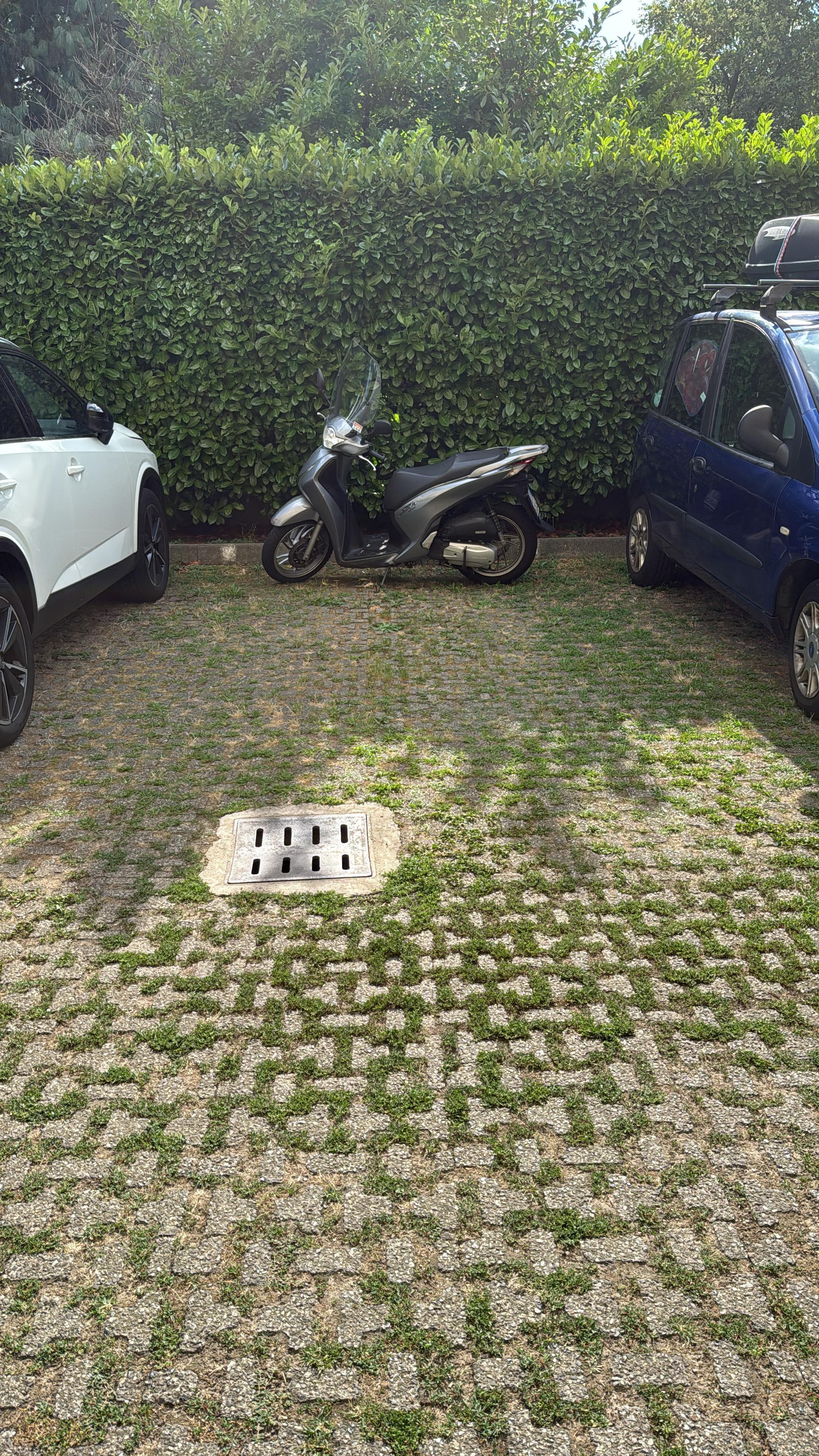 Via Francesco Rismondo 76 — foto 3