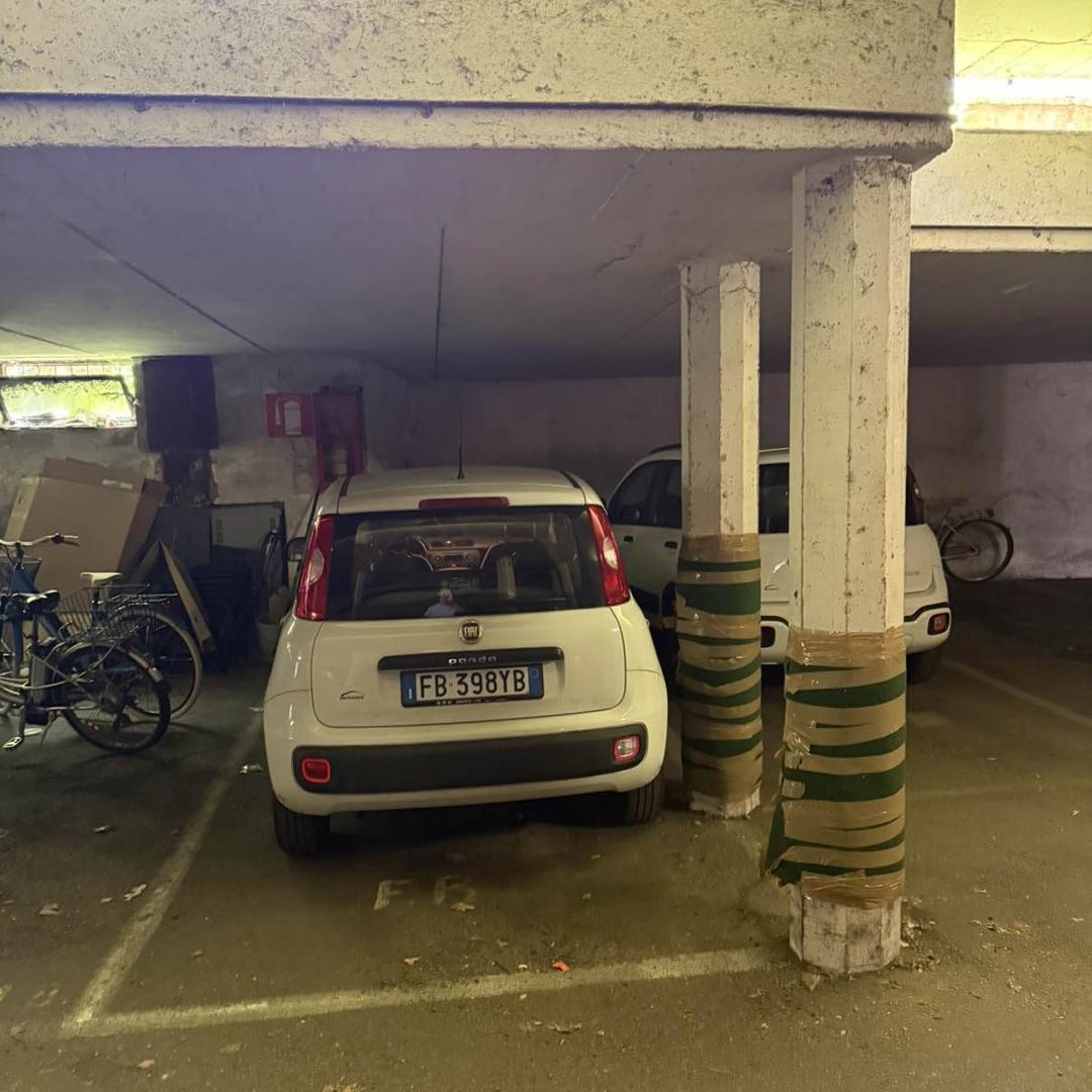 Copertina per Viale dei Tigli 23/C