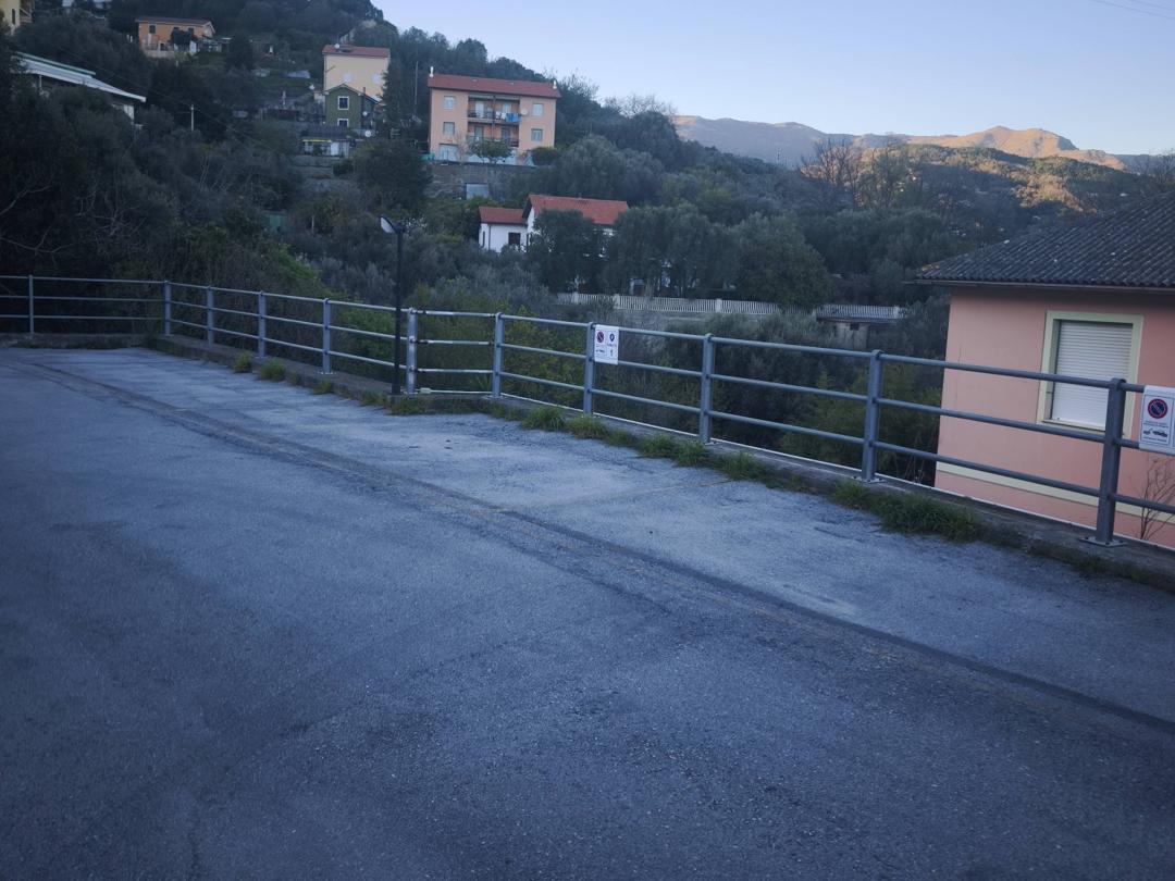 Copertina per Via dei Leoni 100